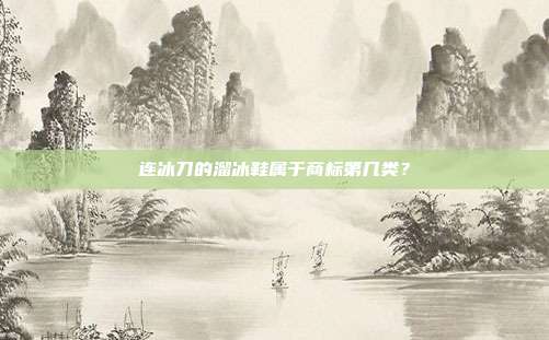 连冰刀的溜冰鞋属于商标第几类?