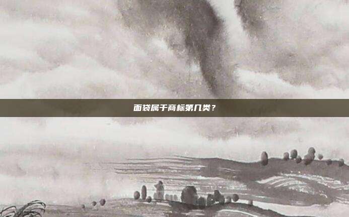 面袋属于商标第几类?