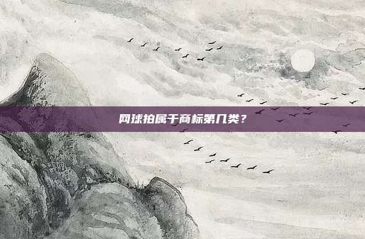 网球拍属于商标第几类?