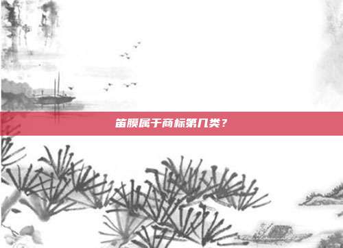 笛膜属于商标第几类?