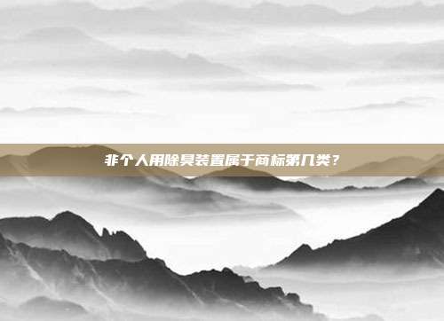 非个人用除臭装置属于商标第几类?