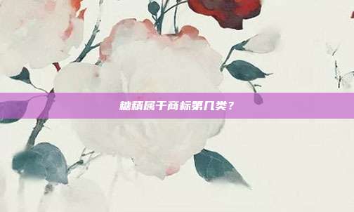 糖精属于商标第几类?