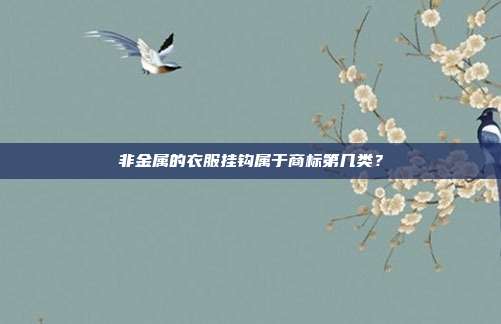 非金属的衣服挂钩属于商标第几类?