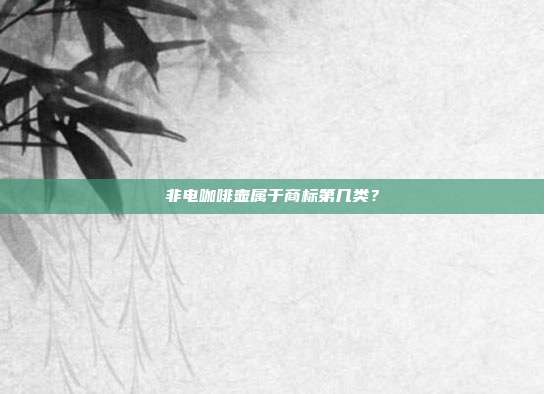 非电咖啡壶属于商标第几类?