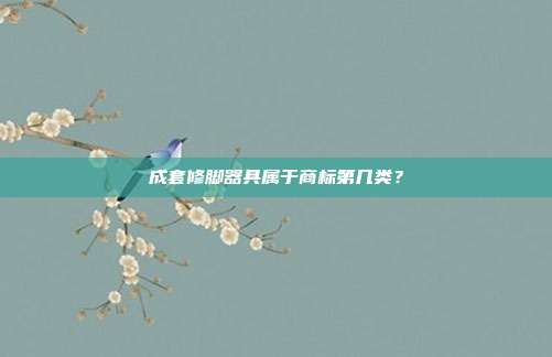 成套修脚器具属于商标第几类？