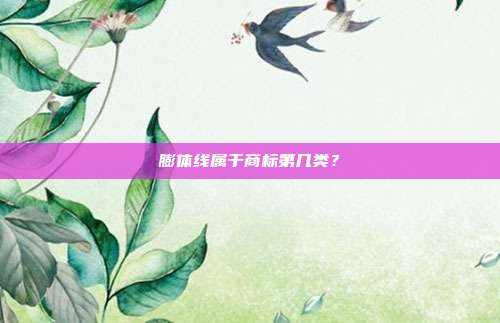 膨体线属于商标第几类？