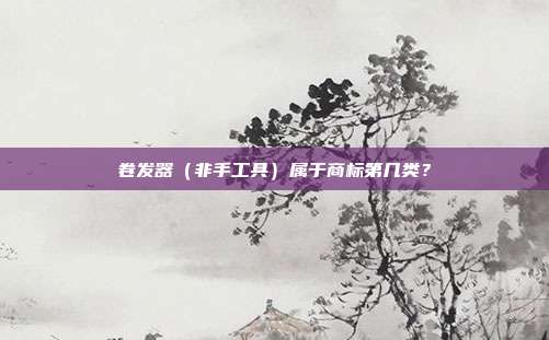 卷发器(非手工具)属于商标第几类?