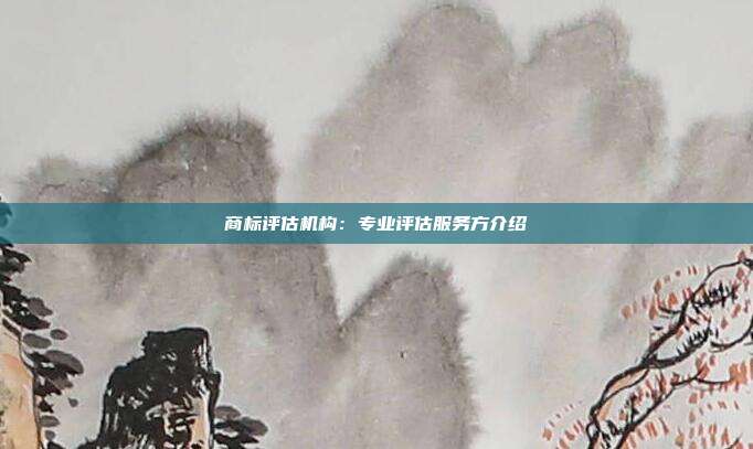 商标评估机构:专业评估服务方介绍