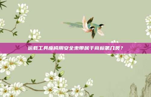 运载工具座椅用安全束带属于商标第几类？
