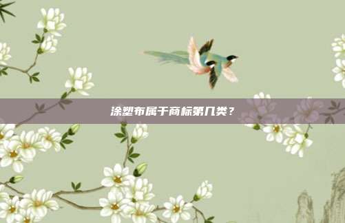 涂塑布属于商标第几类？