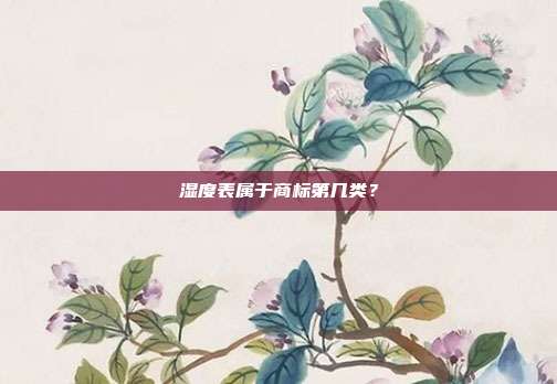 湿度表属于商标第几类？