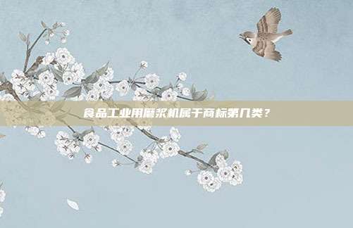 食品工业用磨浆机属于商标第几类?