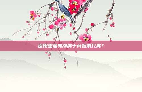 医用熏蒸制剂属于商标第几类?