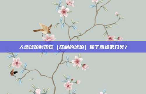 人造琥珀制珍珠(压制的琥珀)属于商标第几类?