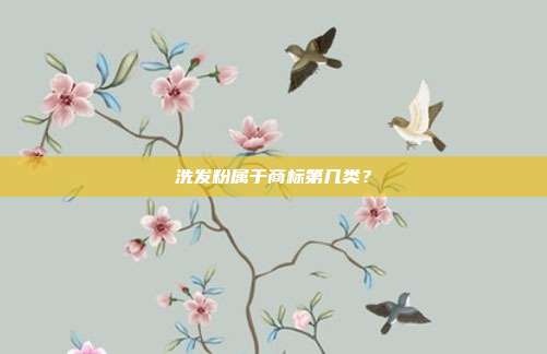 洗发粉属于商标第几类?