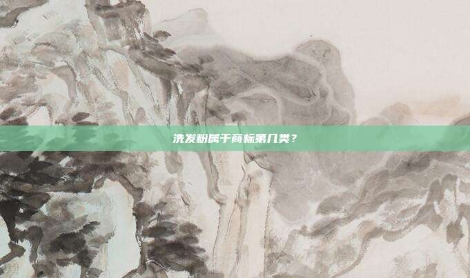 洗发粉属于商标第几类?