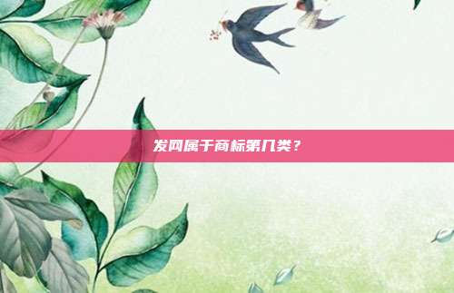 发网属于商标第几类?