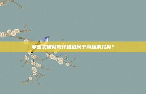 非包装用粘胶纤维纸属于商标第几类?
