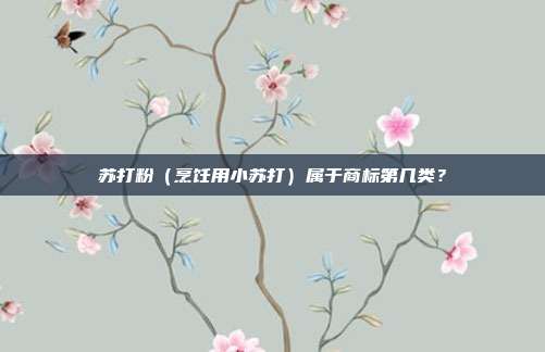 苏打粉(烹饪用小苏打)属于商标第几类?
