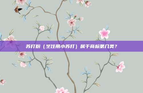 苏打粉(烹饪用小苏打)属于商标第几类?