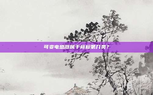 可变电感器属于商标第几类?