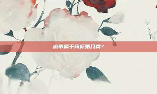 麻带属于商标第几类?