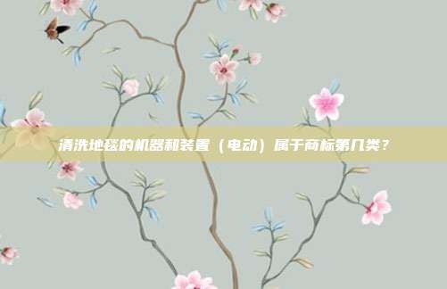 清洗地毯的机器和装置（电动）属于商标第几类？