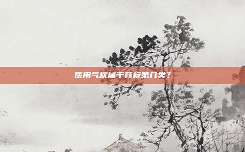 医用气枕属于商标第几类?