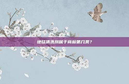 地毯清洗剂属于商标第几类？