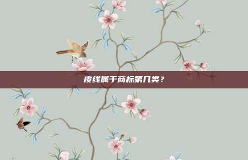 皮线属于商标第几类?