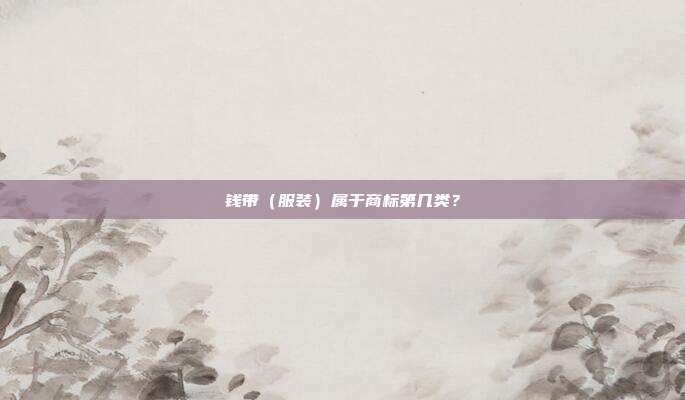 钱带（服装）属于商标第几类？