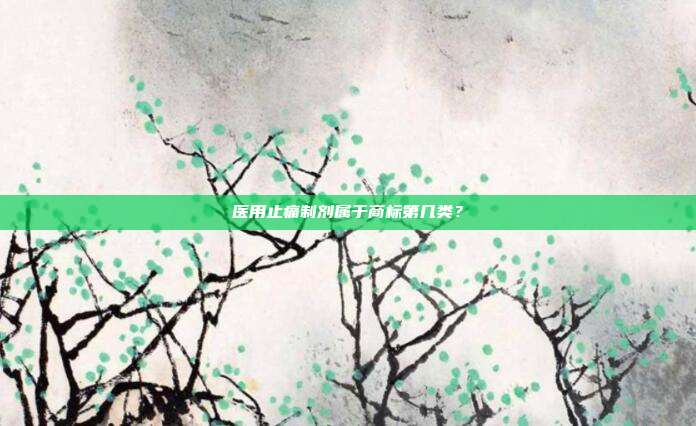 医用止痛制剂属于商标第几类？