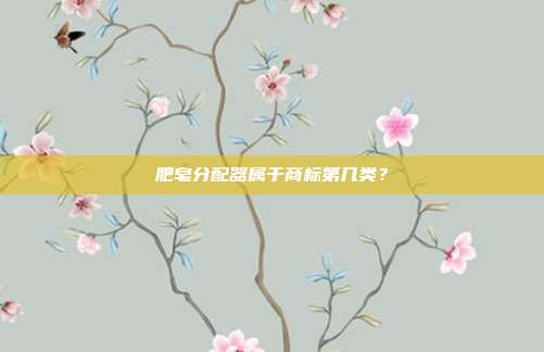 肥皂分配器属于商标第几类？