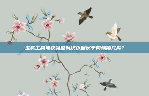 运载工具驾驶和控制模拟器属于商标第几类？