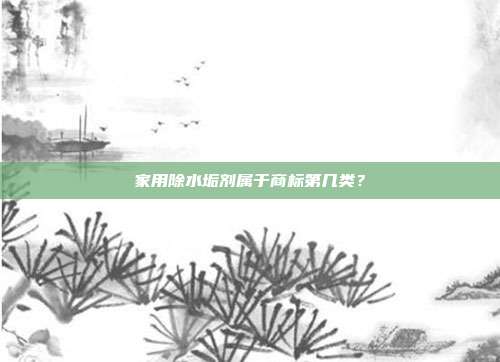 家用除水垢剂属于商标第几类？