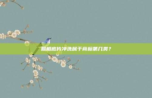 照相底片冲洗属于商标第几类？