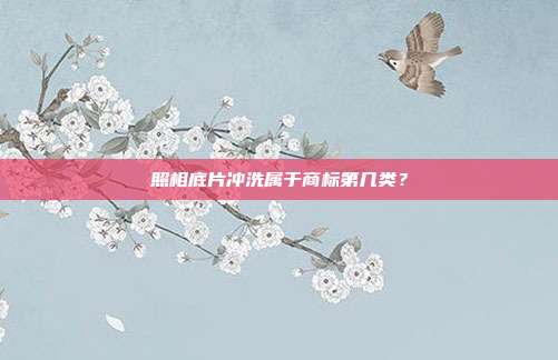照相底片冲洗属于商标第几类？