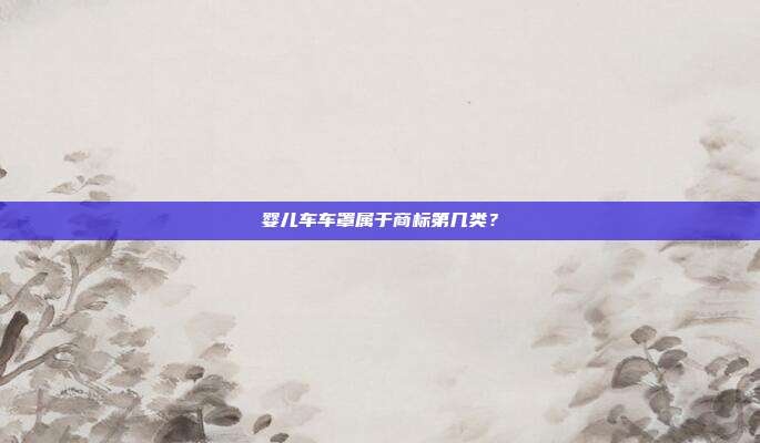 婴儿车车罩属于商标第几类？