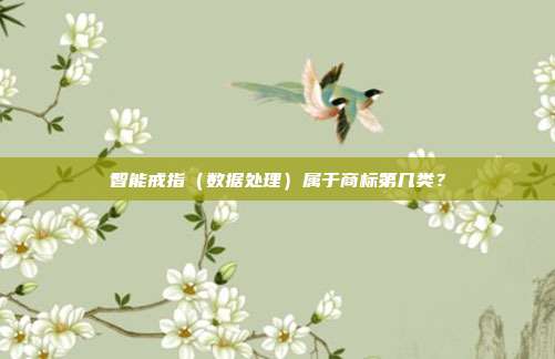 智能戒指(数据处理)属于商标第几类?