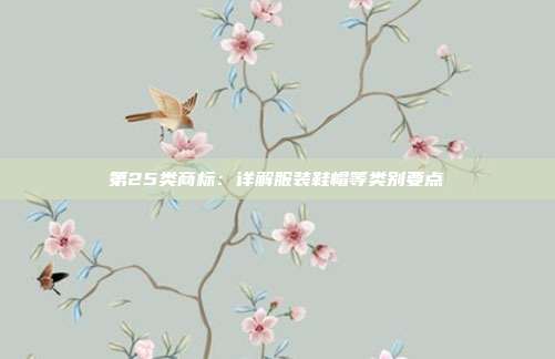 第25类商标:详解服装鞋帽等类别要点