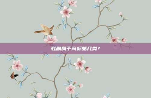 鞋刷属于商标第几类？