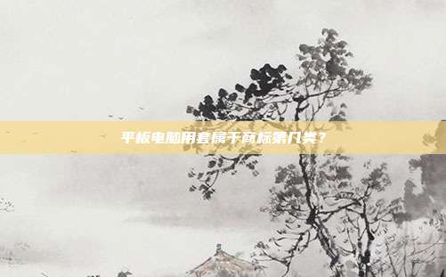 平板电脑用套属于商标第几类？