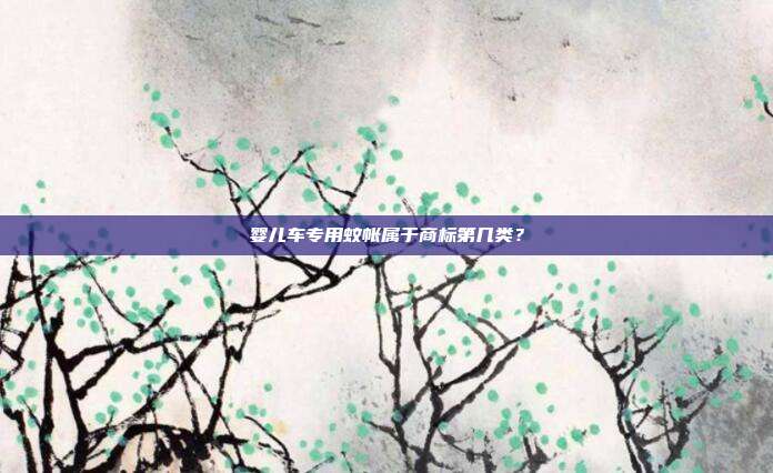 婴儿车专用蚊帐属于商标第几类？