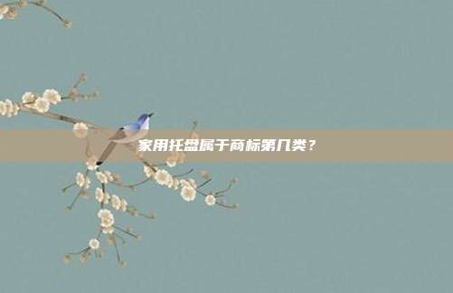 家用托盘属于商标第几类?