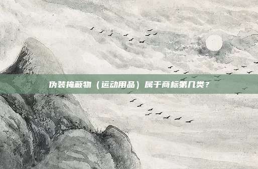 伪装掩蔽物(运动用品)属于商标第几类?