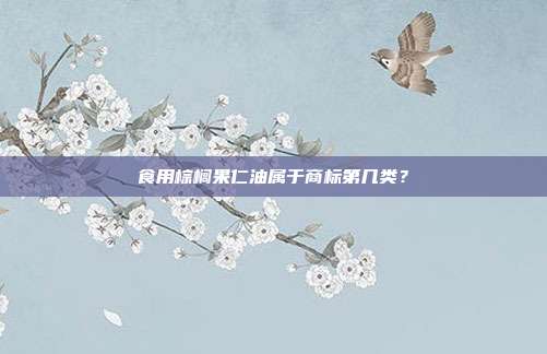 食用棕榈果仁油属于商标第几类?