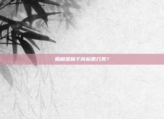 照相架属于商标第几类?