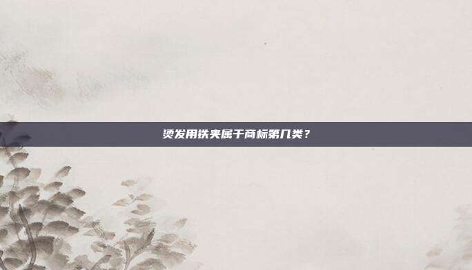 烫发用铁夹属于商标第几类?