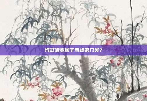 汽缸活塞属于商标第几类?