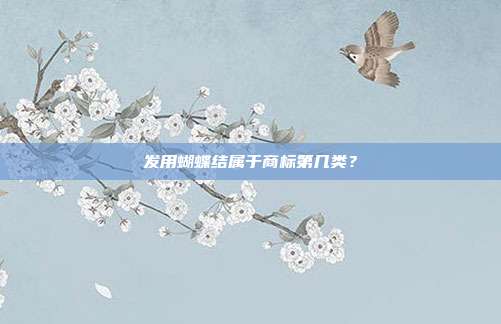 发用蝴蝶结属于商标第几类?